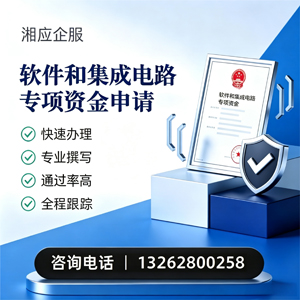 大连软件和集成电路专项资金申报服务