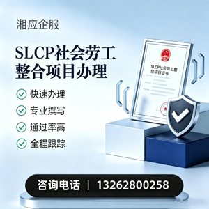 大连SLCP社会劳工整合项目申报服务
