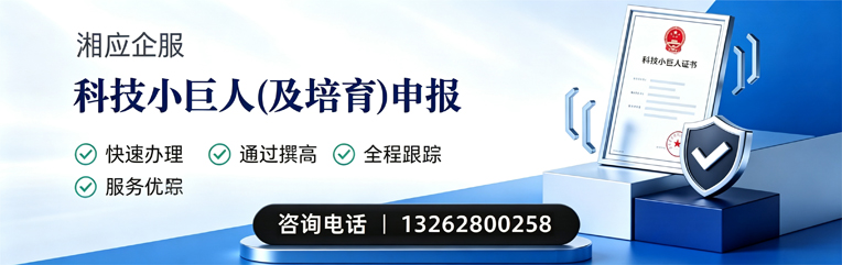 大连科技小巨人及培育企业申报服务