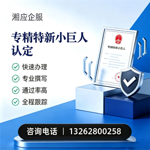 大连专精特新小巨人申报服务