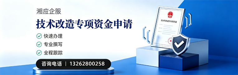 大连技术改造专项资金申报服务