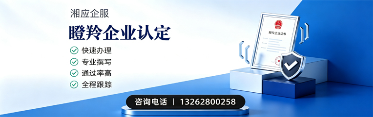 大连瞪羚企业认定申报服务