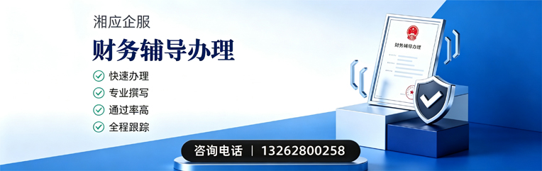 大连财务辅导申请服务