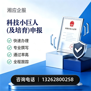 大连科技小巨人及培育企业申报服务