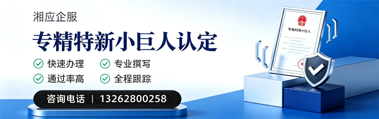 大连专精特新小巨人申报服务